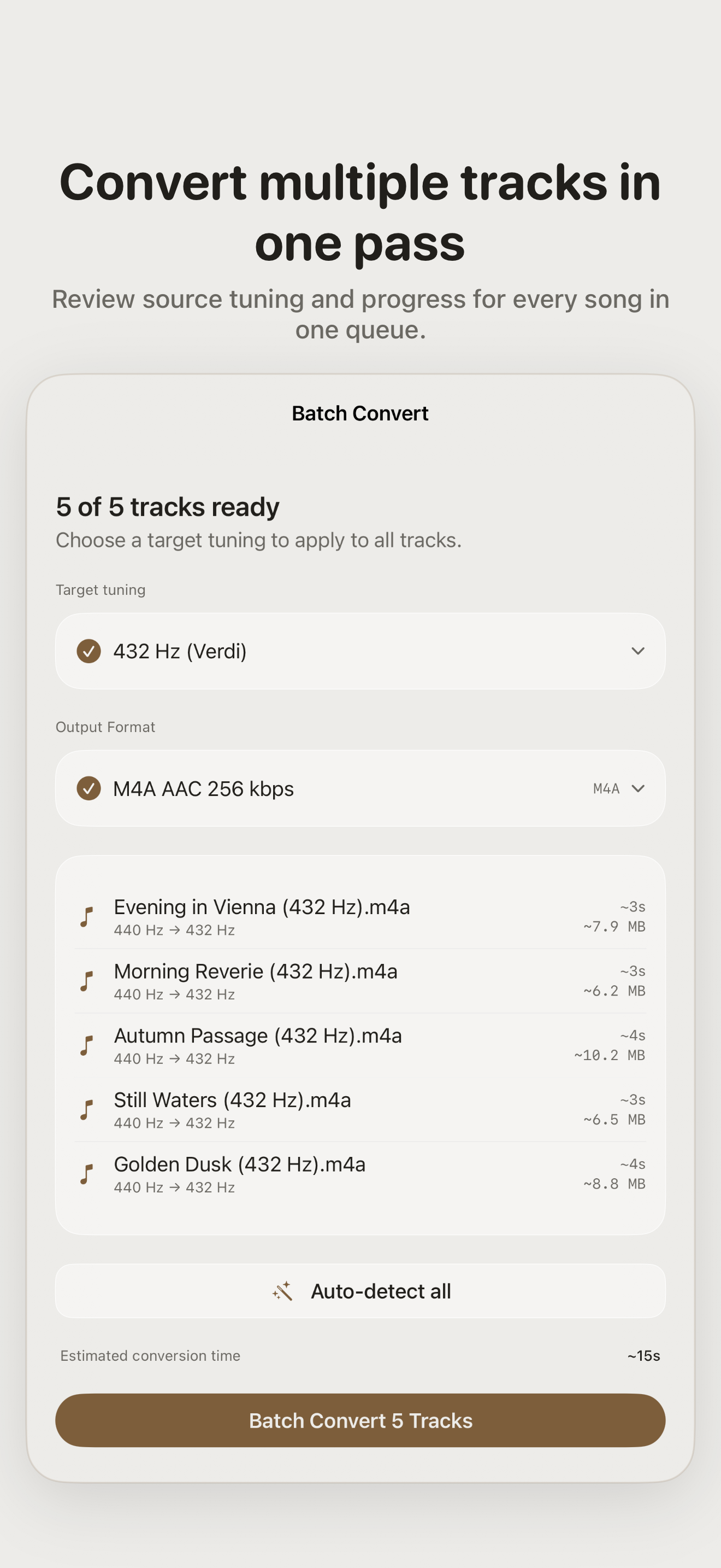Batch conversion queue with five analysed tracks, per-track source and target tuning, output format, and Auto-detect all control